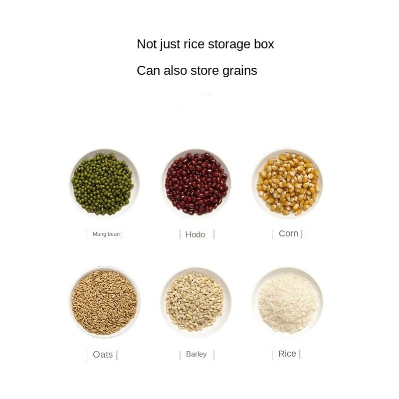 Moisture-Proof Rice Storage Box