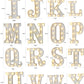 Light Up Letters