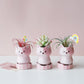 Cartoon Animal Planters