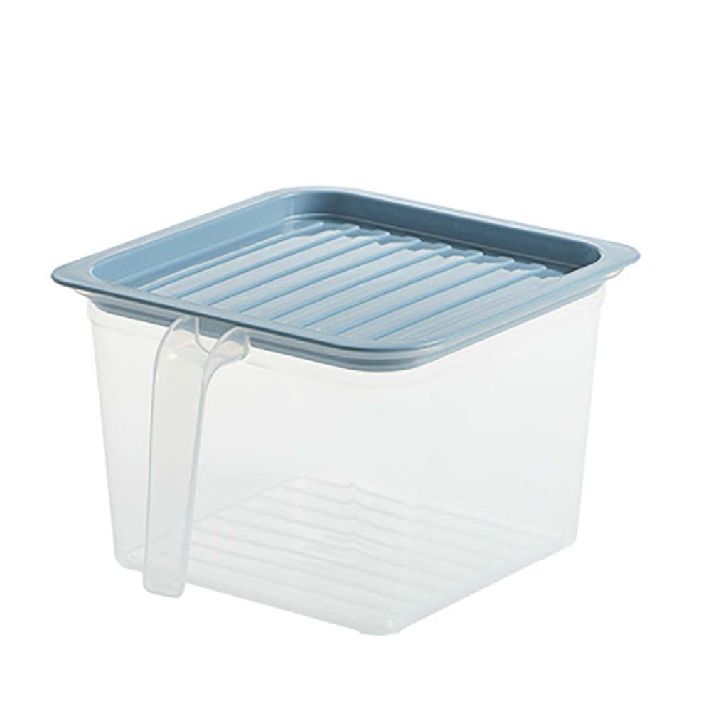 Transparent Storage Container with Handle
