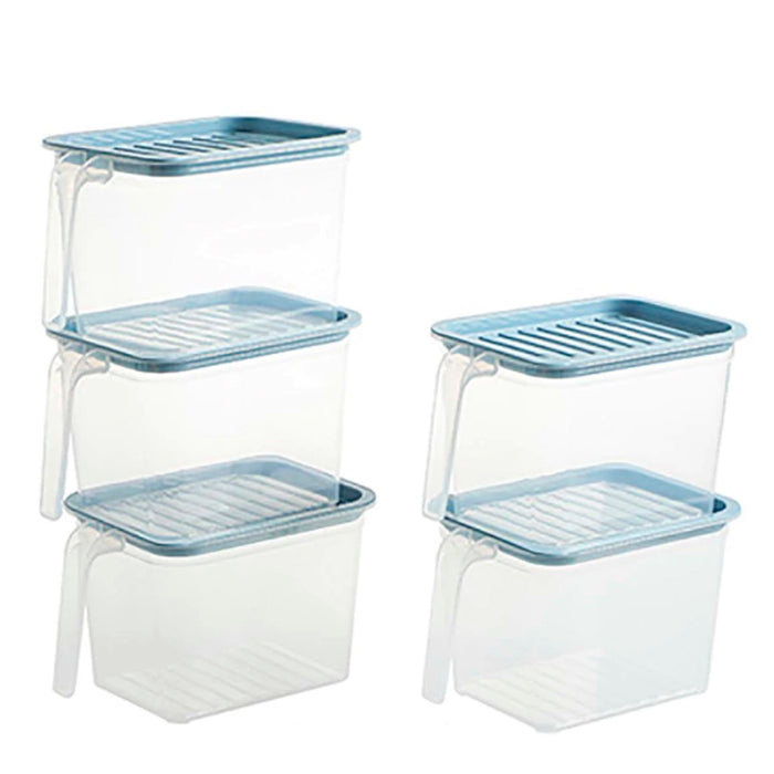 Transparent Storage Container with Handle